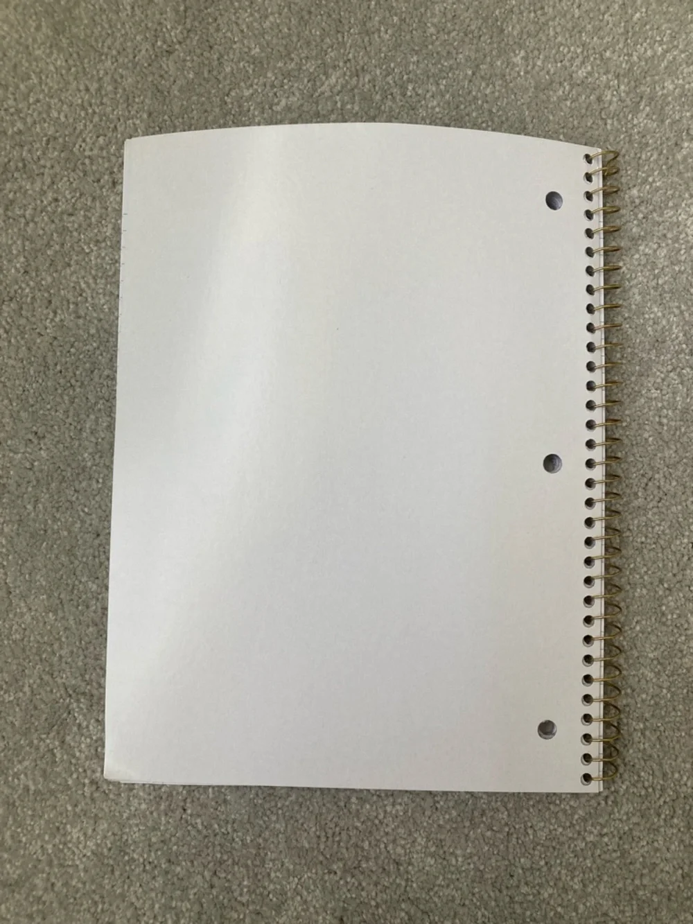 IN-HAND | LoveShackFancy x Target Yoobi Coquette Bow Spiral Notebook